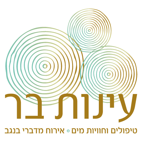 עינות בר